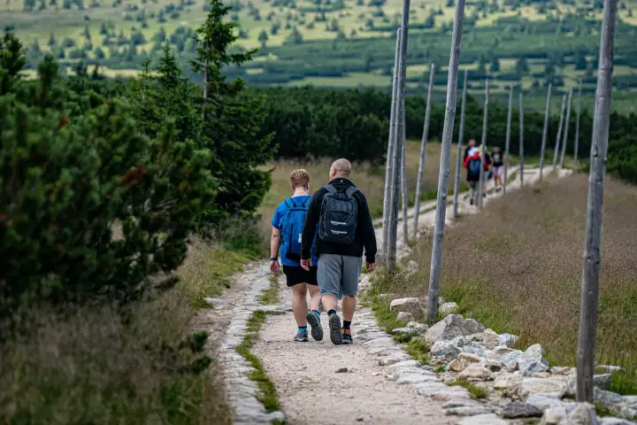 Dwoje turystów na szlaku, widok od tyłu