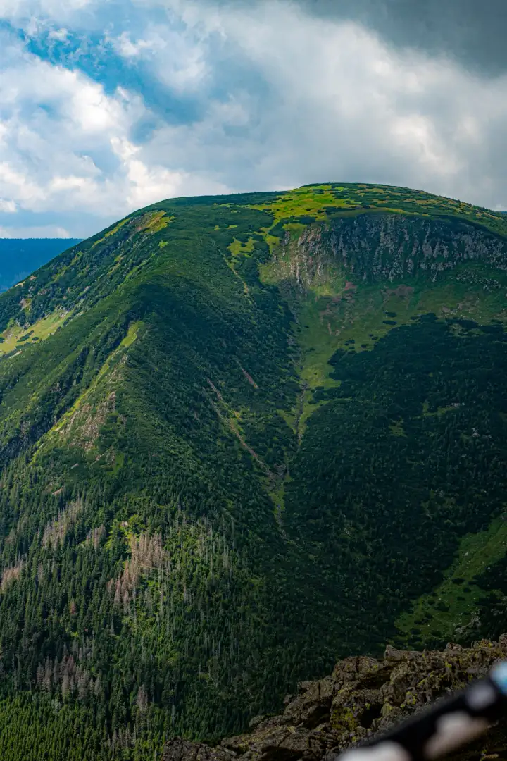 Zielona dolina w Karkonoszach