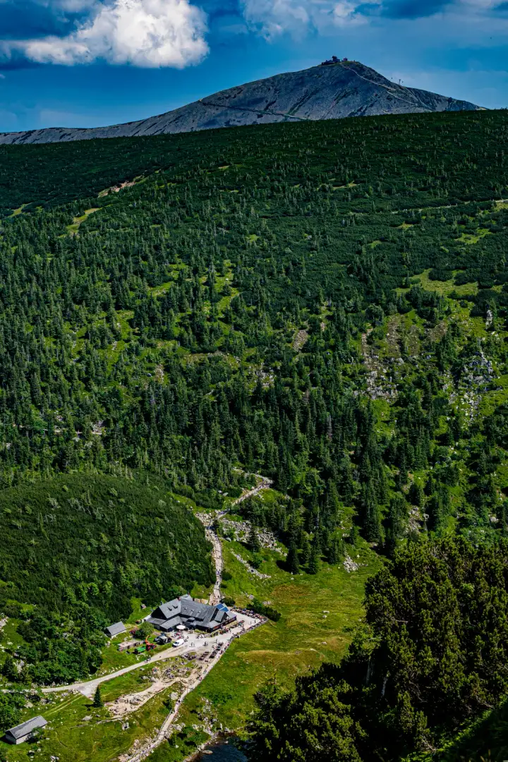 Śnieżka nad lasem