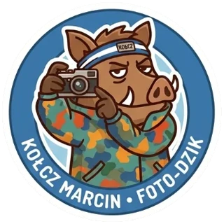 Naklejka: dzik z aparatem i opaską Kołcz, Marcin